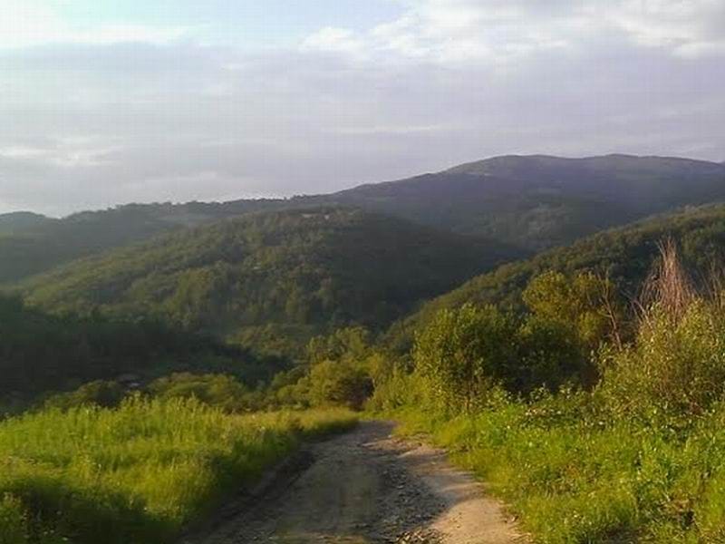 Meštani pokrenuli akciju uređenja seoskog puta 18 put radan