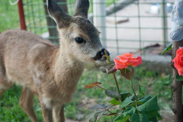 10172569 10152353908059803 4090798501598797024 n