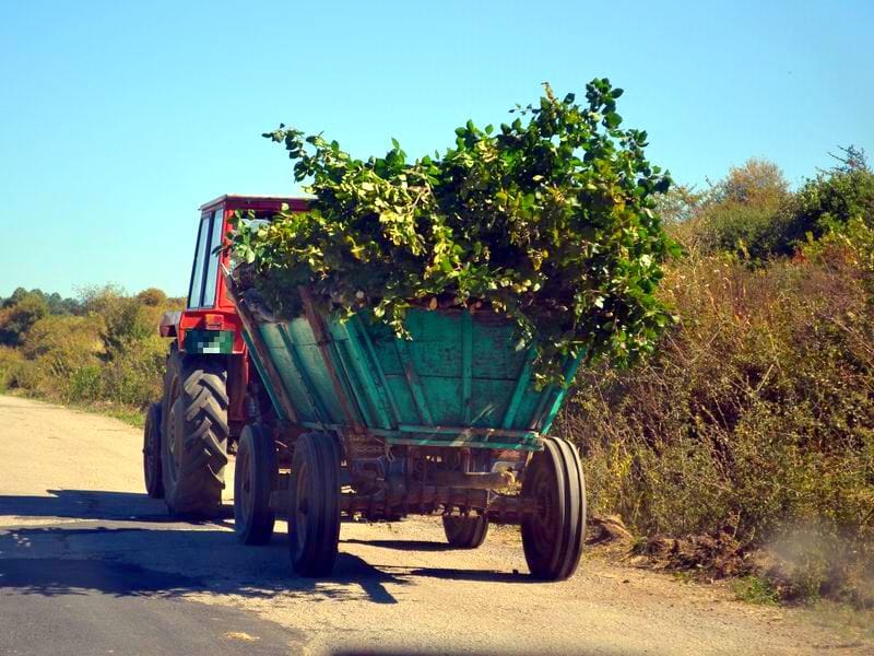 traktor Kosta ilustracija poljoprivreda