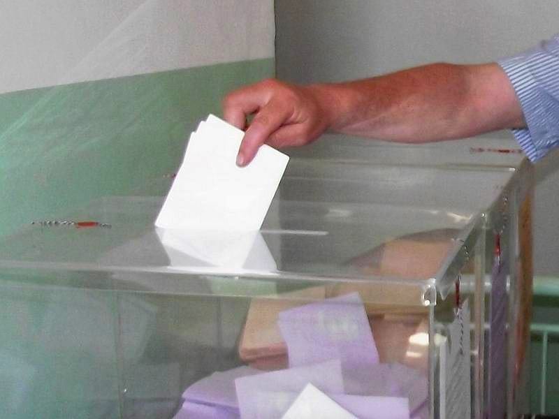 Izbori ilustracija Kosta JUZNE VESTI