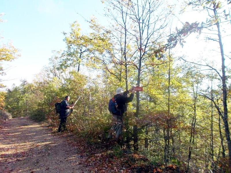 mala toplicka transverzala