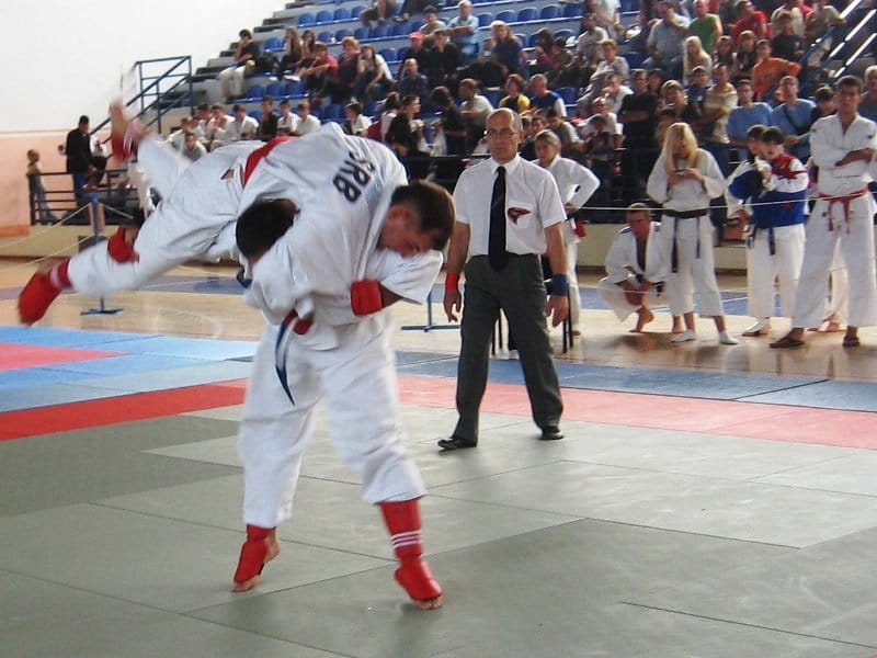 Dva takmičenja za Džiu džicu klub iz Aleksinca 9 dziu dzica