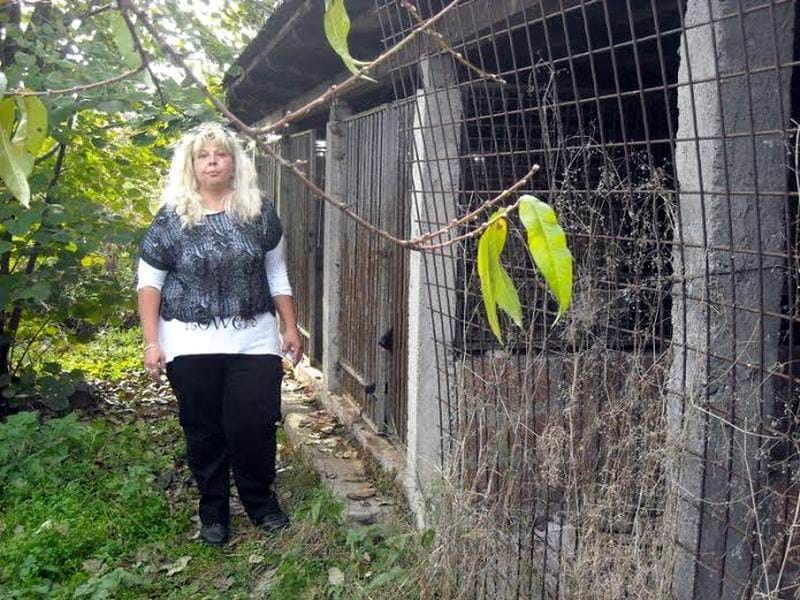 marija petkovic zoo higijena leskovac