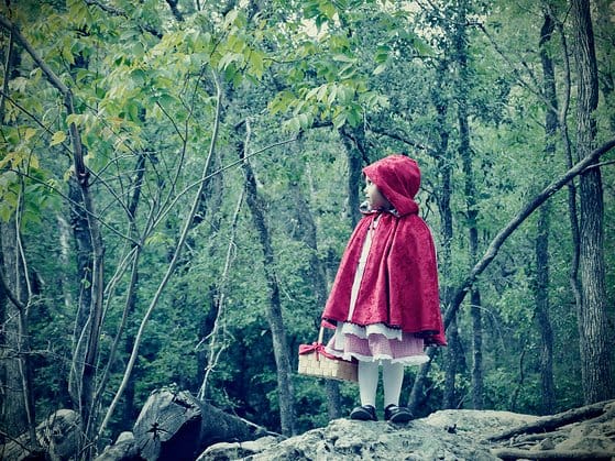 6315047564 aaac47a2ea z