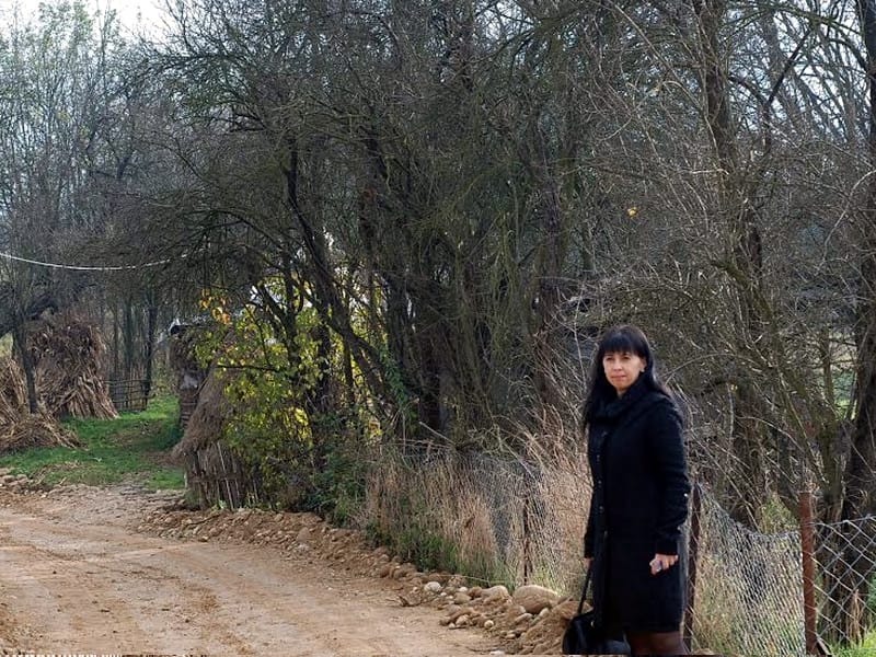 jelena put djurinac magovac