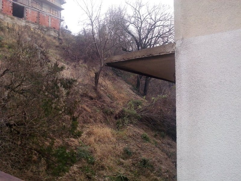 1513718 10204103009912787 7728000823905664792 n