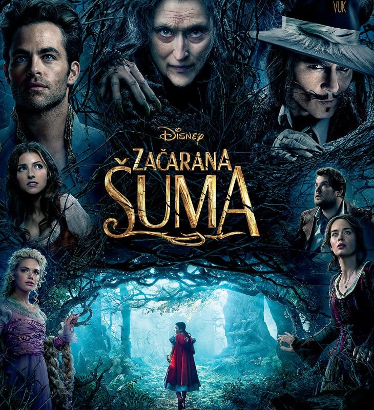 Into the Woods za web