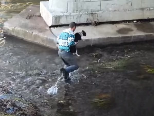 O "srpskim herojima" i britanski "Daily Mail" 14 Spasavanje