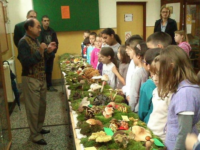 Predavanje i izložba “Čudesni svet gljiva” 1 gljive