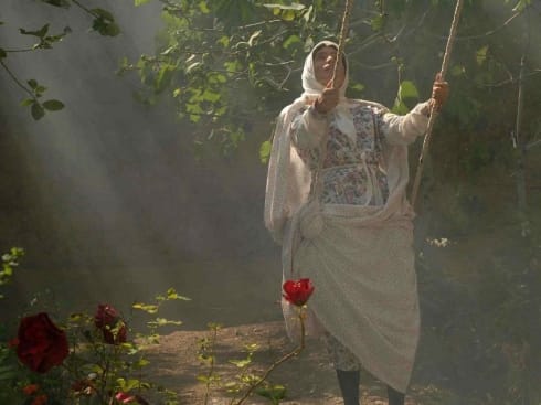 490x370 cube of sugar small