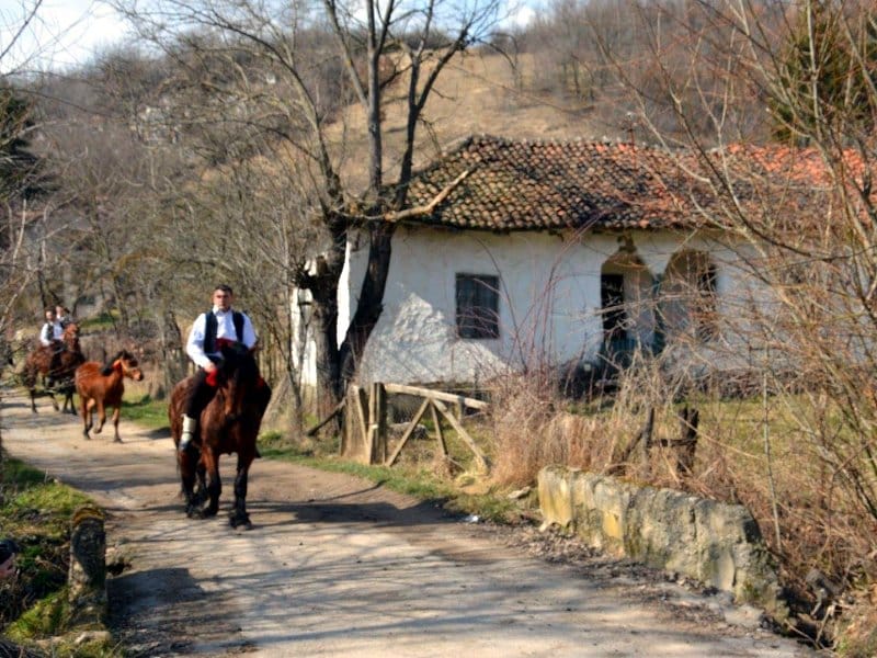 Dozivaju proleće i štite devojke od mitskog bića 7 Todorica 1