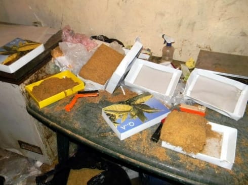 490x370 duvan 1 jpg foto mup