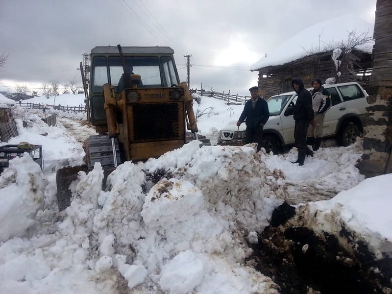 10646629 664111203711925 6020383634133993292 n