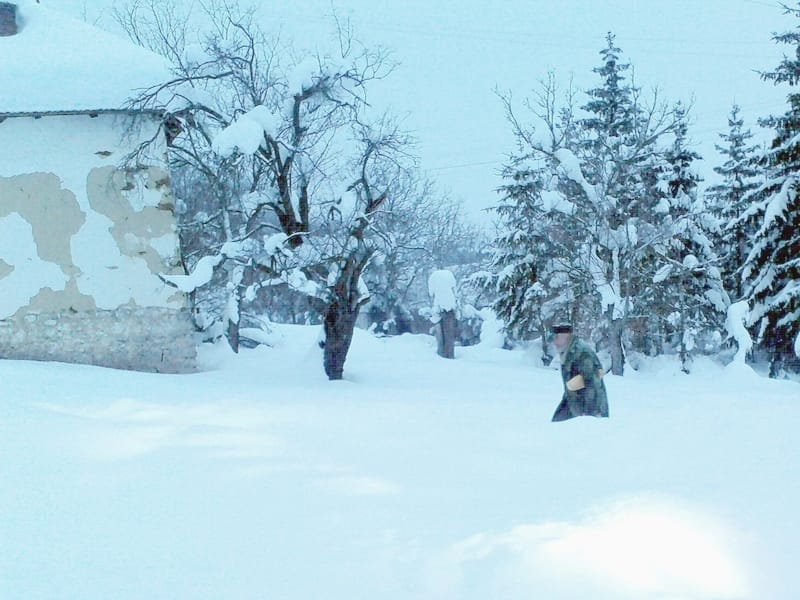 sneg ilustracija KOSTA