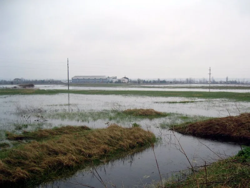 Problemi sa podzemnim vodama i u Belotincu 18 poplava belotinac ilustracija