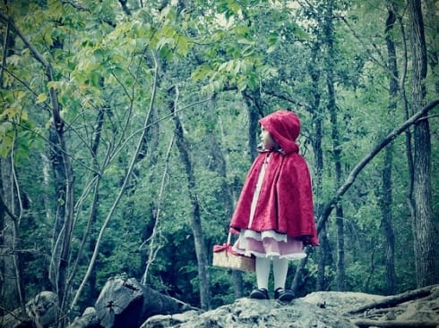 490x370 6315047564 aaac47a2ea z