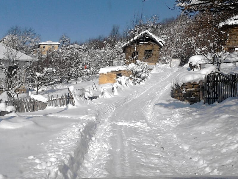 Sneg ilustracija Kosta