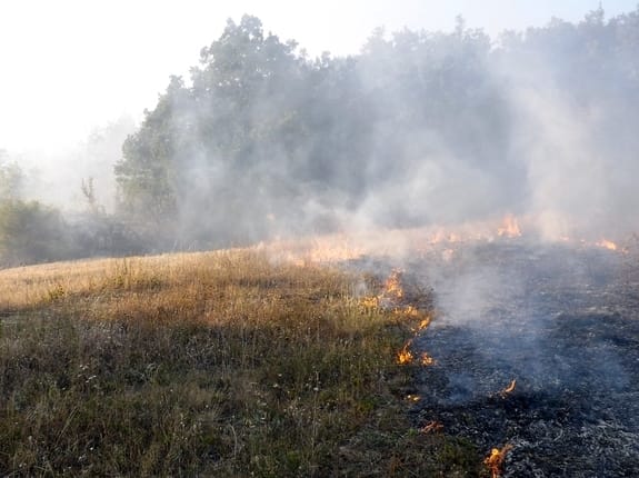 Svrljižanin povređen u poljskom požaru 13 Pozar rastinje