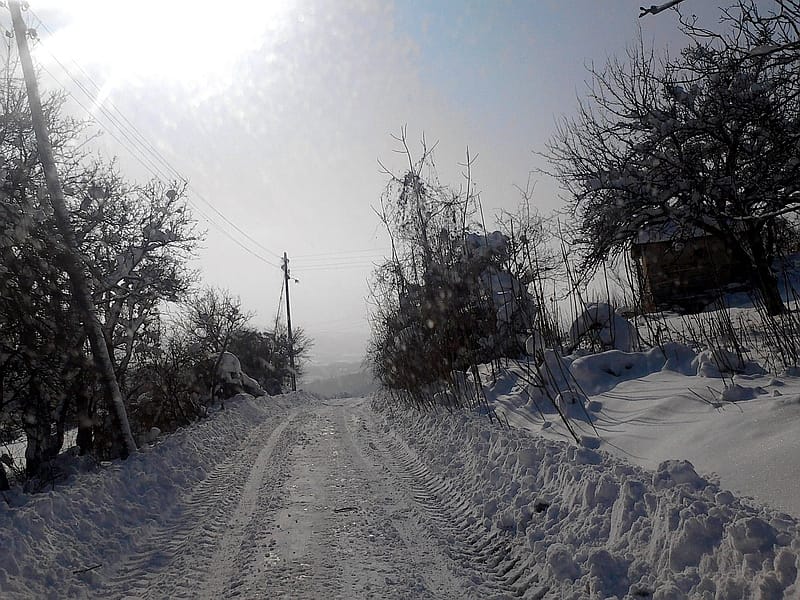 Sneg Ilustracija KOSTA