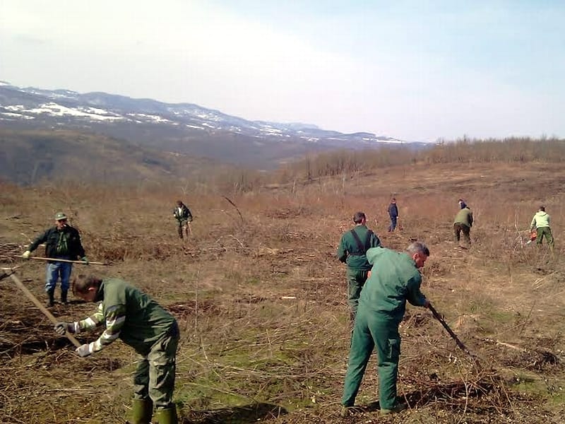 zatvorenici posumljavaju zitoradju