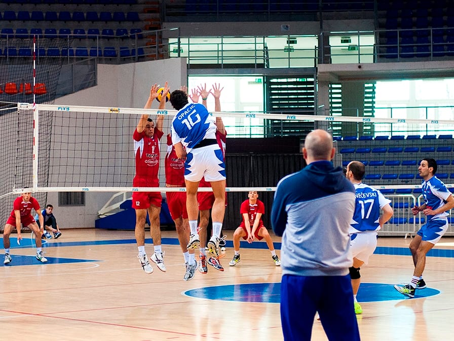 nemanja opacic ok nis