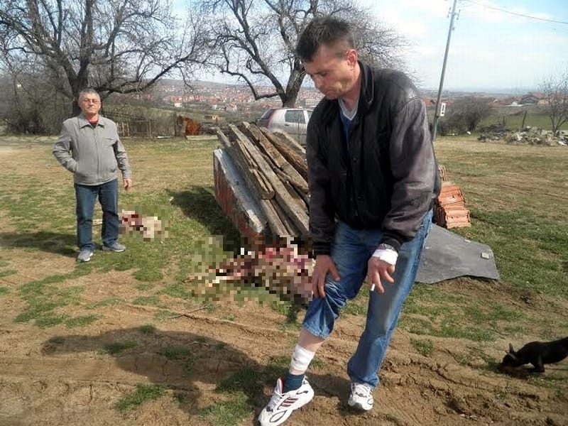 Prokupčanina izujedali psi dok je branio svoje ovce 20 unnamed