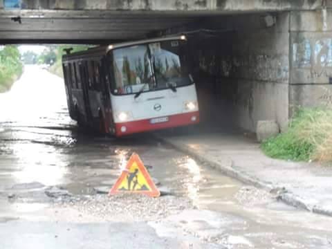 11096466 10152671457086260 2227327241843151641 n