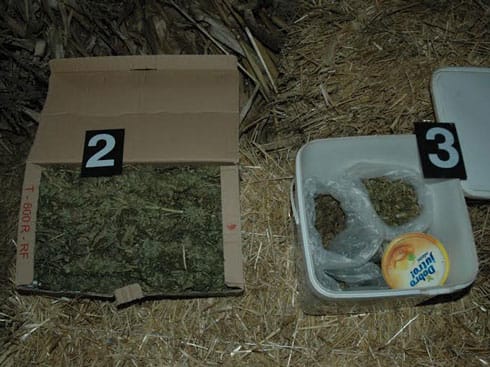 Skrivao kilo marihuane u kući kod Pirota 1 marihuana