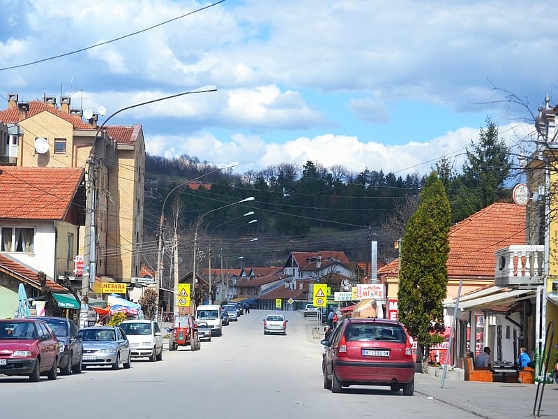 Svrljig Kosta juzne vesti