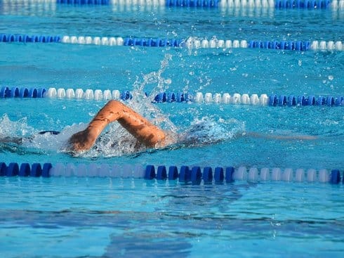 Plivački "Kup Niša 2015" na čairskom bazenu 8 490x370 plivanje flickr