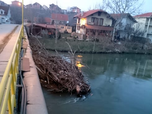 490x370 drvo vrezina