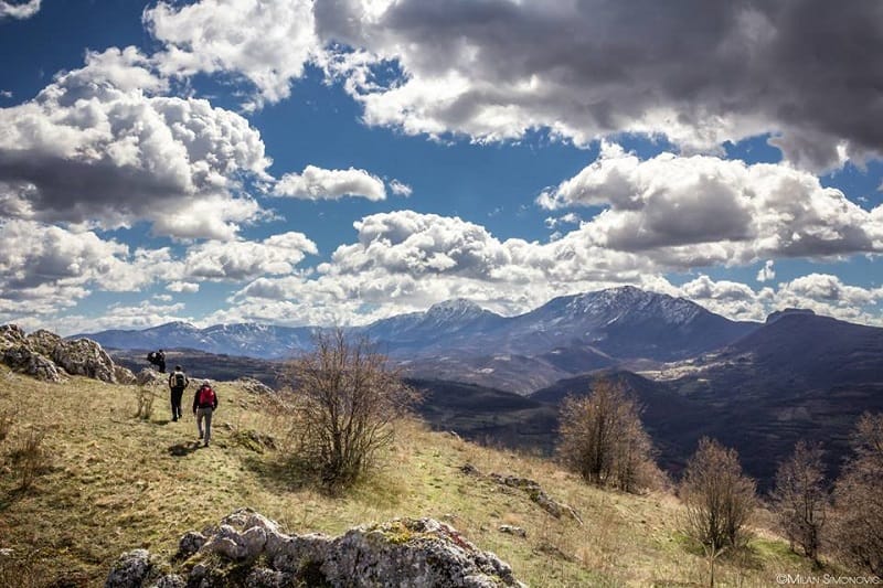 slika3 milan simonovic