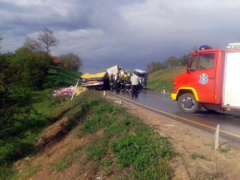 11195283 10206488631838504 1492715825 n