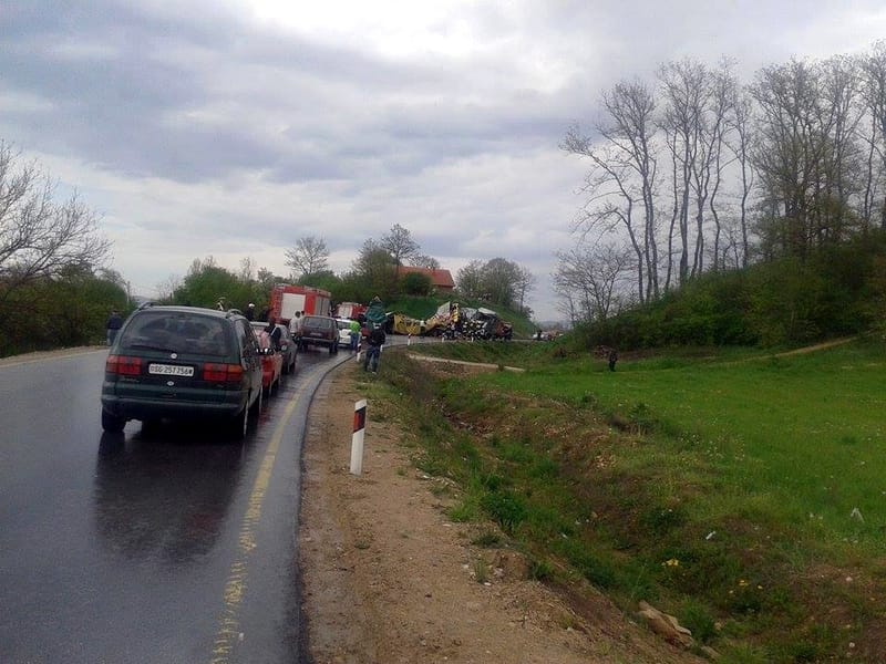 11178381 10206488655399093 1244899053 n