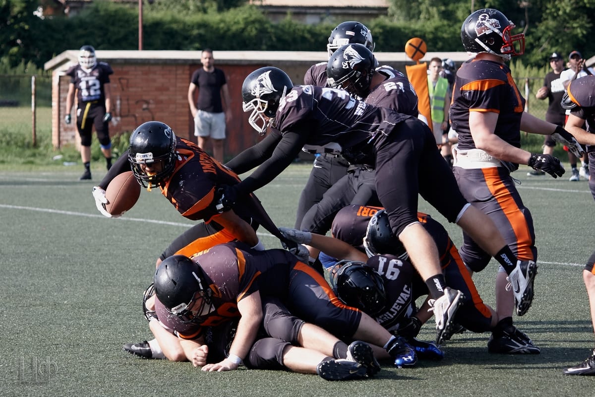 IMPERATORI Wild Boars 2