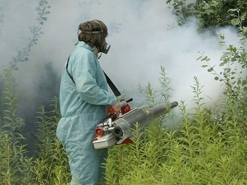 zaprasivanje komarci