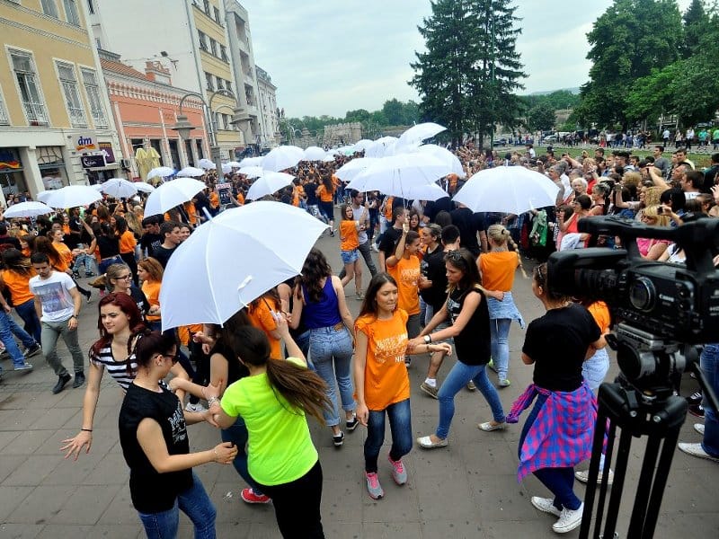 Paradamaturanata 2015