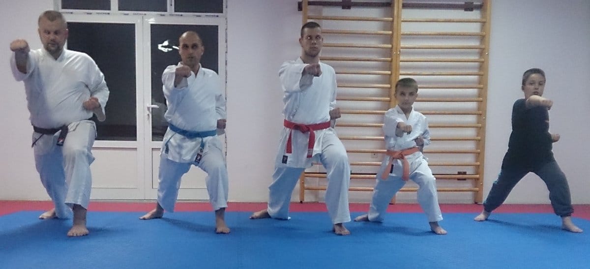 karate nis