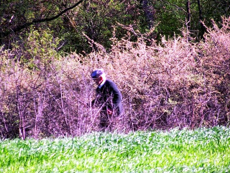 Pretukao rođaka na livadi zbog međe 13 njiva covek ilustracija Kosta