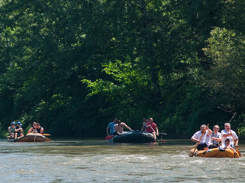 Veselo na regatama niz Nišavu i Moravu 10 DSC 3481
