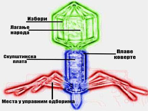 Politicari virusi nova