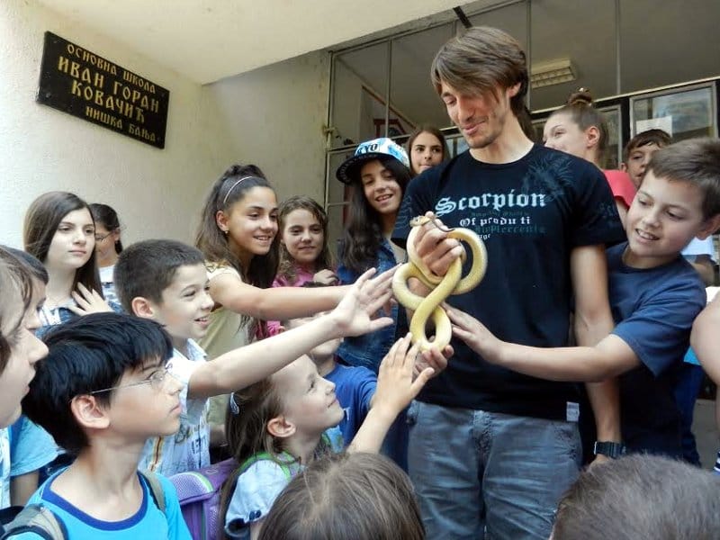 Zmija Ivan Goran Kovacic