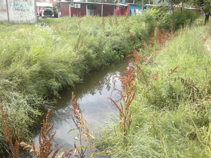 Komarci, žabe i zmije prete, a rešenja nema 1 naslovna