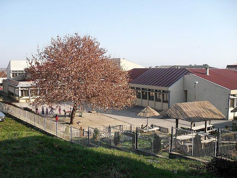 Blački osnovci na besplatnom letovanju u Istri 19 image