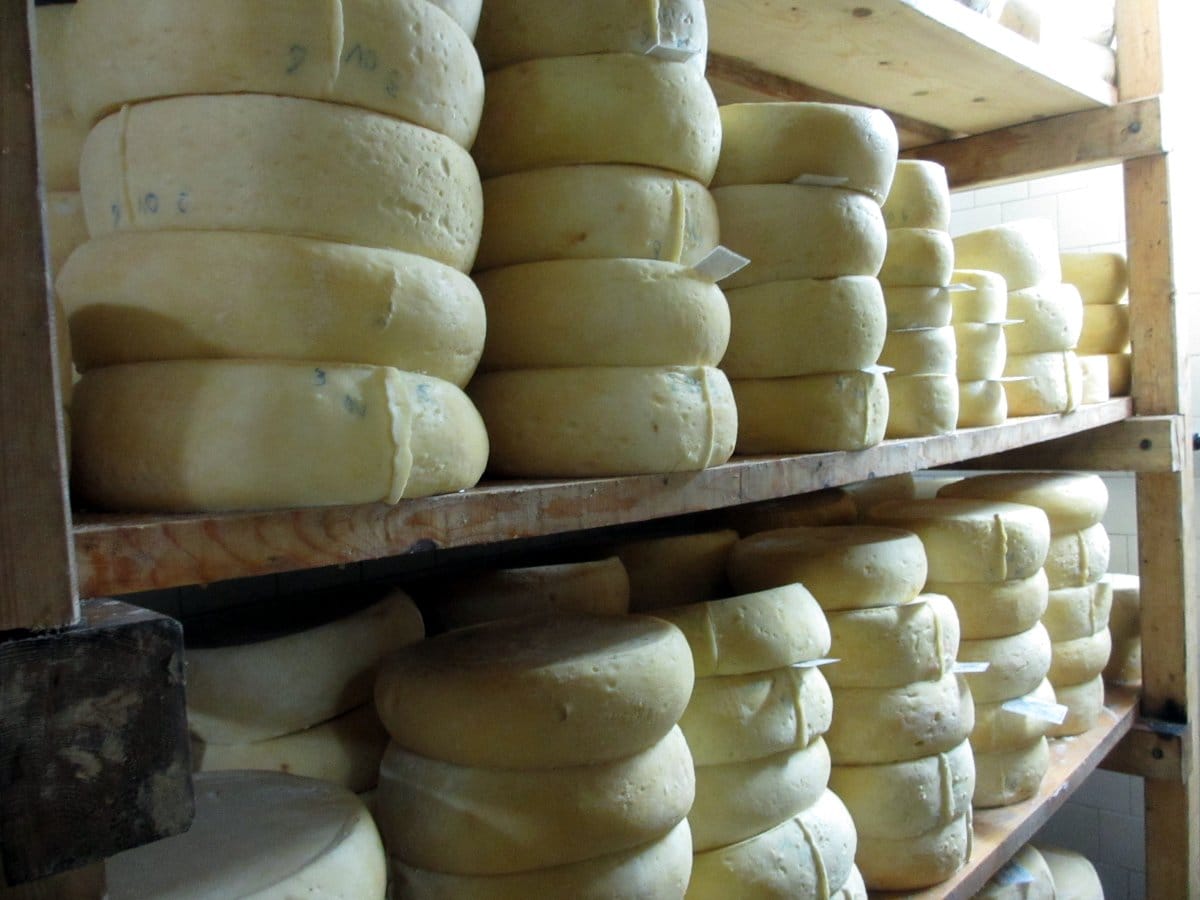 Tradiciju prilagodili današnjici da čuvaju ukus pirotskog kačkavalja 1 Kackavalj 4