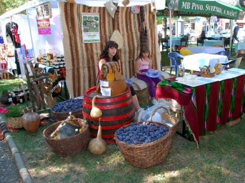 490x370 DANI SLJIVE BLACE 10 Aleksandar Kostic SVRLJIG