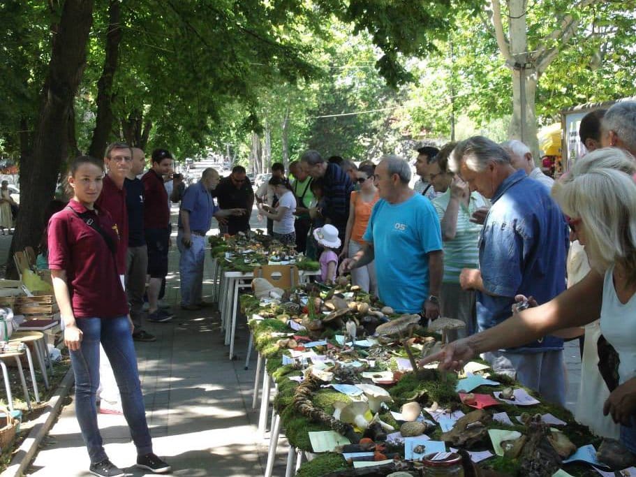 Izložba gljiva u Niškoj Banji 1 gljivarijada