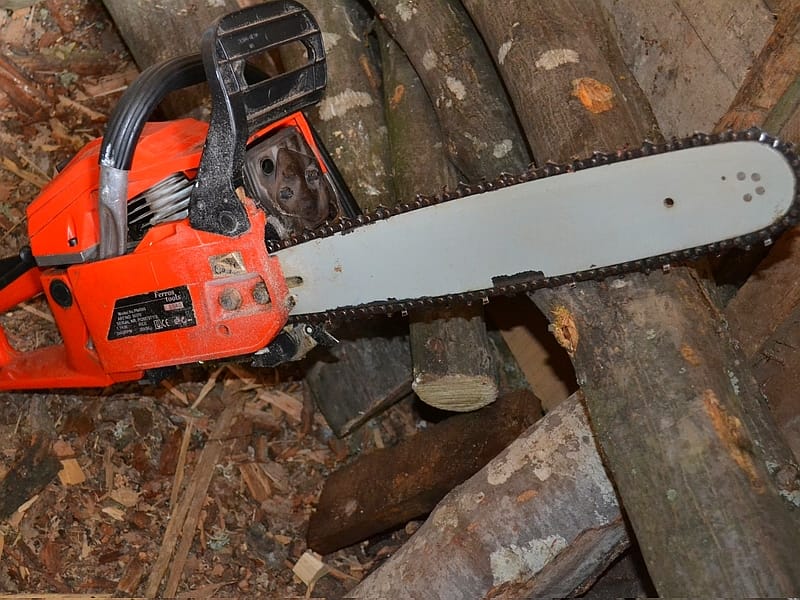 Policija ih uhvatila u krađi drveta 1 testera