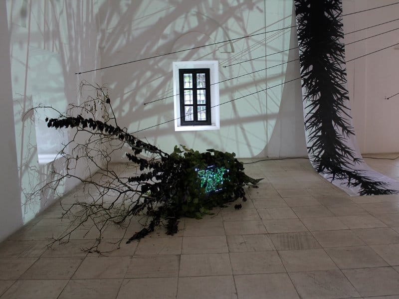 Ambijentalna izložba "Batali crtu" u Nišu 5 batali crtu