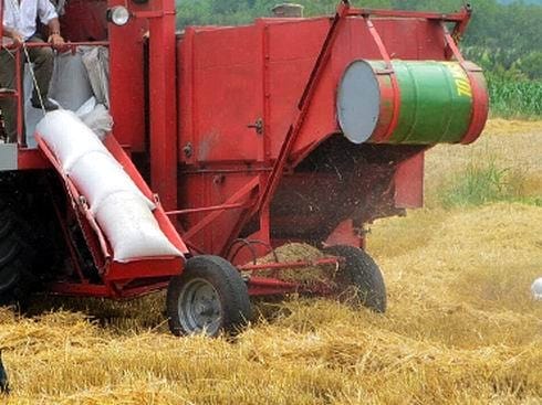 Počela žetva u Pčinjskom okrugu 2 490x370 otd Zetva